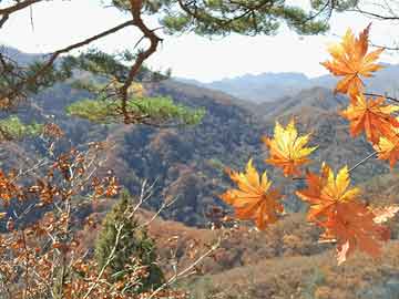 大邑县公安局新任领导团队，引领担当，共筑平安之路